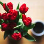 196.top的潜力:在数字时代如何选择合适的域名 372p9oq2