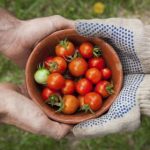 196.top的潜力:在数字时代如何选择合适的域名 4erm9gx