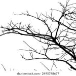 009期开奖胆中精准预测,独胆稳赚不容错过 6xpnvesgkw