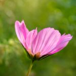 220开奖前与开奖后的关键细节全解析 egj87ktds