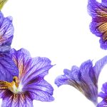 003期大乐透开奖结果揭晓,幸运号码震撼公布 f5v6ed7gz