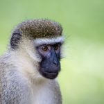 ESPN体育赛事高清在线直播观看指南 i65ewf